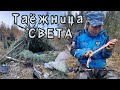 ТАЁЖНИЦА СВЕТА. Первая охота. Как спасли оленёнка.