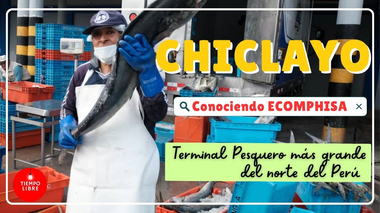EL PUERTO PESQUERO MÁS GRANDE DEL NORTE DEL PERÚ 🐟🐟🦀 ECOMPHISA - Chiclayo 🐚