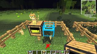 Block Spotlight - Feed Station