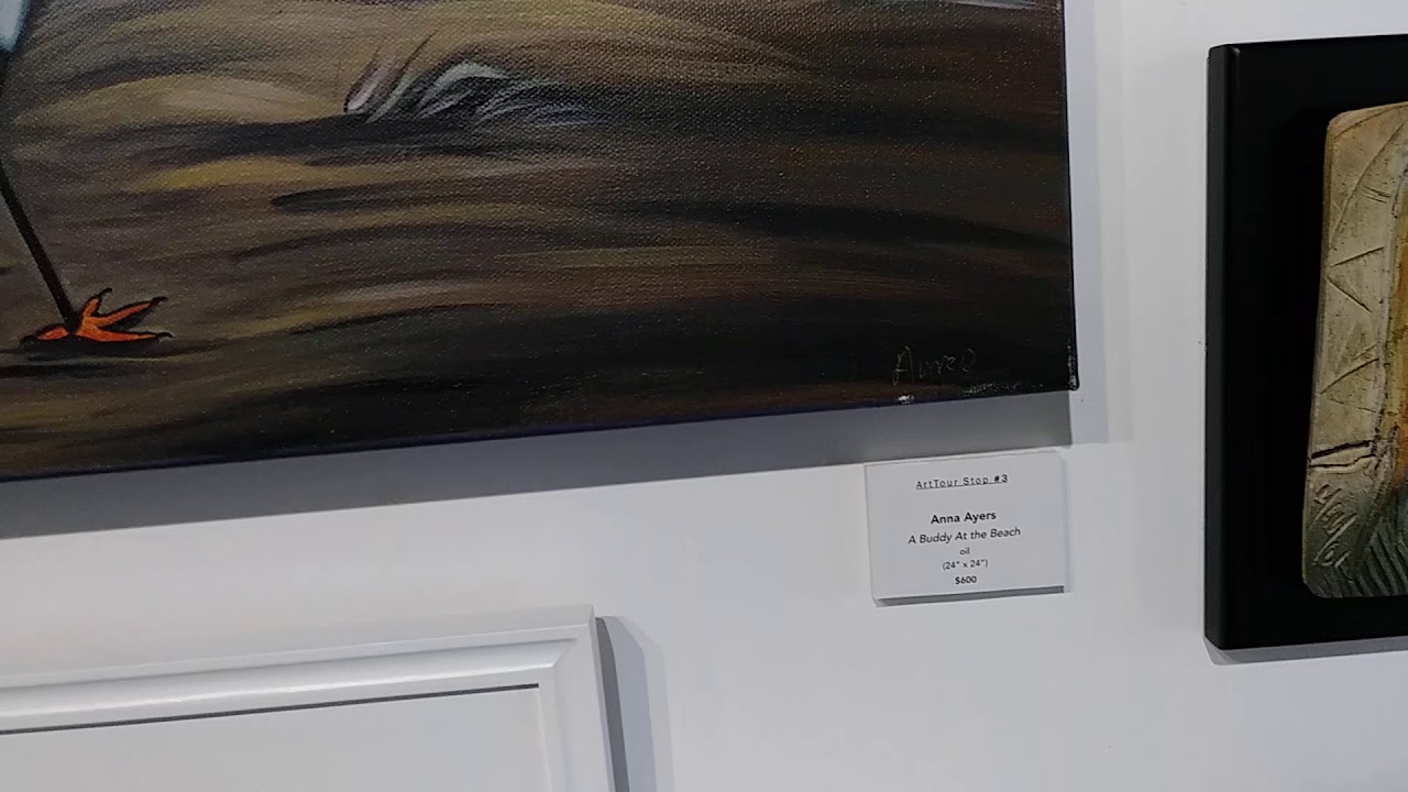 Seagull by Anna display in Gulfport Gallery