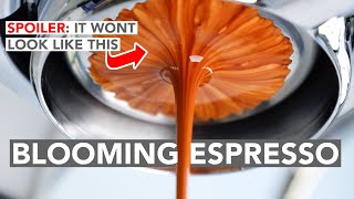 ESPRESSO ANATOMY - Blooming Espresso