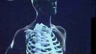 Zen Of Screaming Melissa Cross In Azores