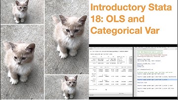 Introductory Stata 18: OLS and Categorical Variables