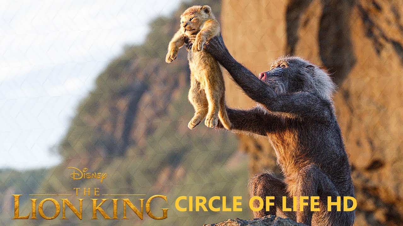 The Circle of Life   Song   Lion King 2019