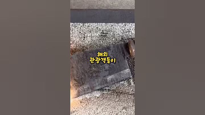 한국이 중국의 유명한 '이걸' 오해하는 이유에 일침을 가하는 외국인