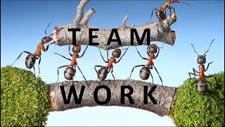 #Teamwork | Motivational Message | whatsapp status video | 30 Second Video | Life quotes