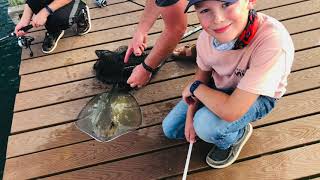 GENTRY ADVENTURES - Indian River, Florida