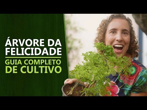 Vídeo: Guia para cuidar da árvore de cicuta-chorão: dicas sobre como plantar uma cicuta-chorão