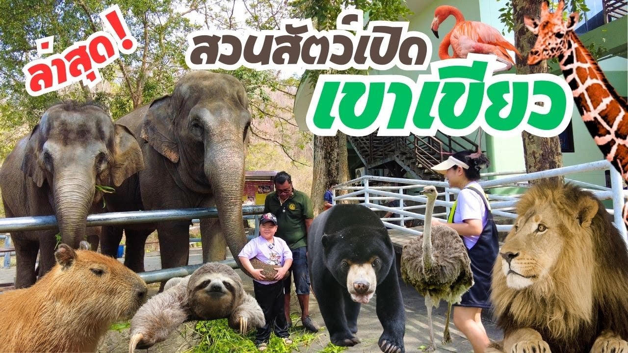สวนสัตว์เปิดเขาเขียว Khao Kheow Open Zoo ชลบุรี ใกล้ชิดสัตว์ ล่าสุด 2568|2025