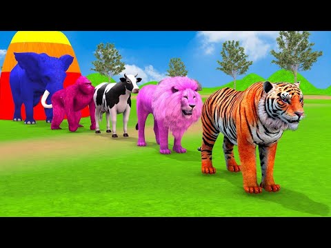 Long Slide Game With Elephant Gorilla Buffalo Hippopotamus Tiger - 3d Animal Game 