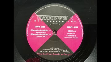 NIP Collective - Moments Of Decision. Trance Plant 2