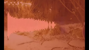 Generated this Audio Waveform in Seconds #shorts