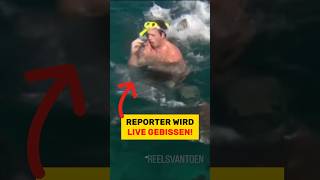 LIVE von einem Hai gebissen! Selbst Schuld??? | #shorts | RasasWelt
