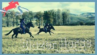 Blazer Horses Can Be Blazing Fast Discoverthehorse Episode 