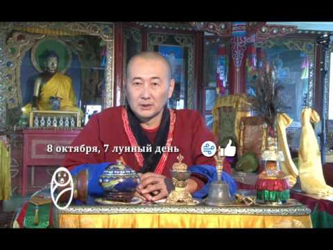 Зурхай 8 октября