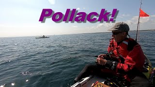 Cod and Pollack off Blyth in a Kayak, June 2023