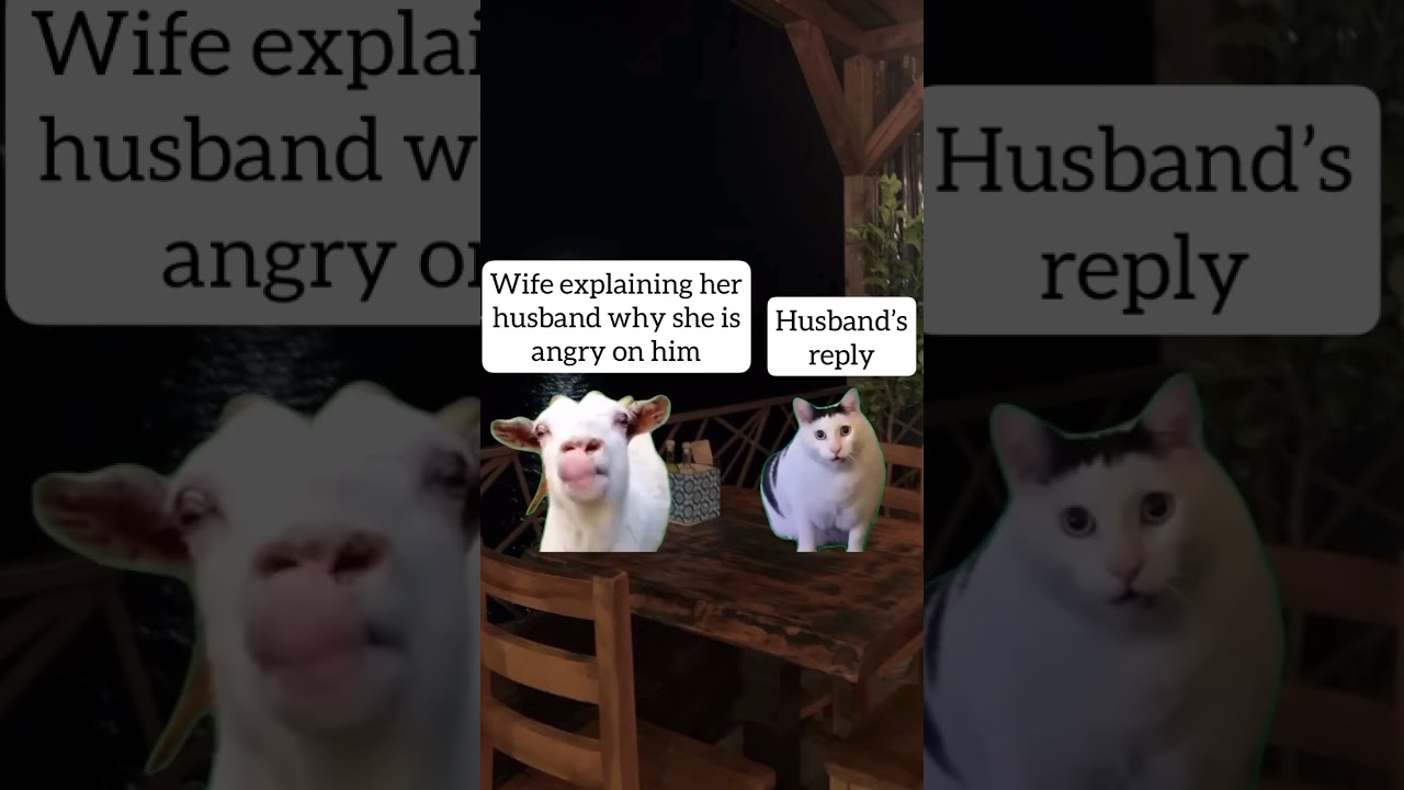 Husband’s reply 😀 