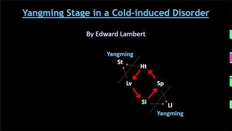 6-element acupuncture: Yangming Stage of a Cold Induced Disorder
