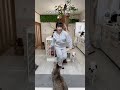 猫のシャーは蛇の真似をしているらしいよ！
