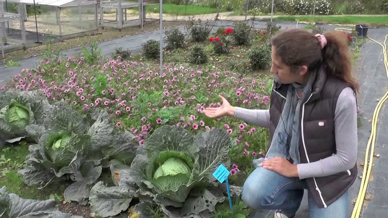 Horticultural Gardens Part 2