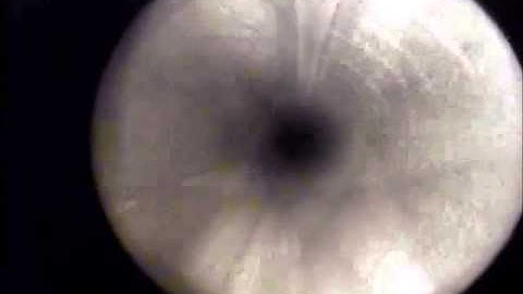 Realtime video acquired when inspecting unpiggable gas pipelines by Pipetel