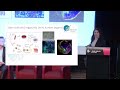 Dr Anai Gonzalez-Cordero on gene and cell therapies for genetic eye conditions.