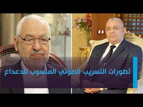 فيديو: قصة إحدى اللوحات: كيف أنقذت قطة طفلاً أثناء فيضان ودخلت التاريخ