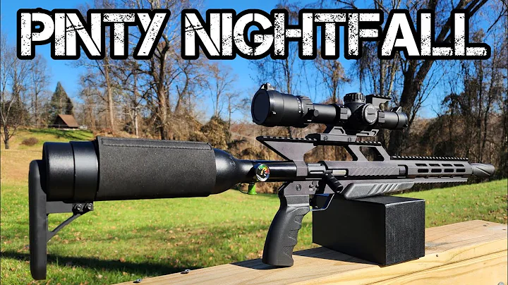 Pinty Nightfall Unboxing — First Shots & Out-of-the-Box Accuracy Test!