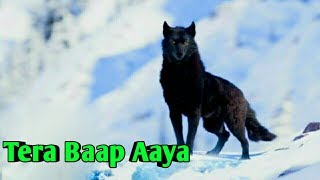 Tera Baap Aaya || Knock Knock Tera Baap Aaya || Full Song 2020