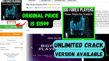 Big Forex Players V3.1 | Category: MT4 EA | No DLL Required Best Forex EA Get Now Just In $20