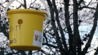 Daily SunTV | The Myth Of The Strange Yellow Buckets!