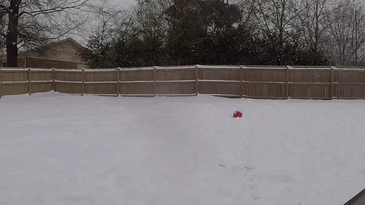 February Snow  2021