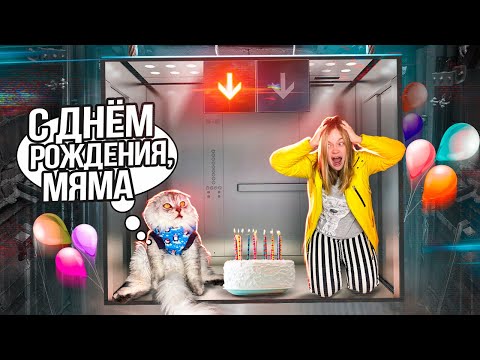 24 Часа В Падающем Лифте В День Рождения С Котом