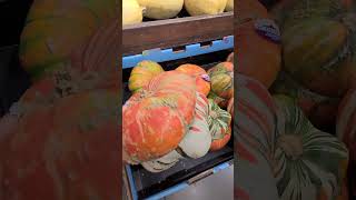 kakaibang pumpkin 🥰