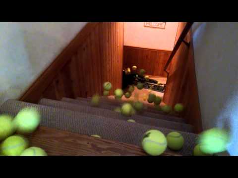 100 Tennis Balls - (A Border Collie in Heaven)