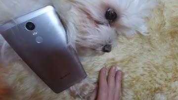 Обзор Bluboo Maya Max (серьёзно о главном)