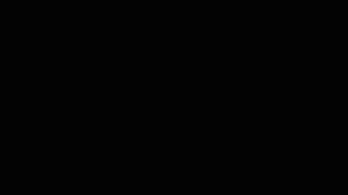 Belki Vurulurum Ama Düşmem Senin Önünde