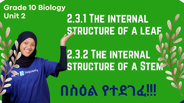 Grade 10 Unit 2: 2.3.1 The Internal Structure of a Leaf & 2.3.2 The Internal Structure of a Stem