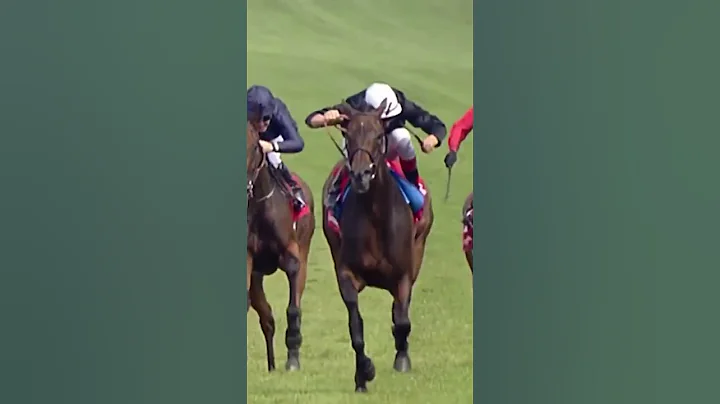 You Will Not See a Better Race! 🤯 - DayDayNews