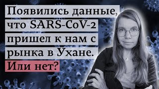 Появились данные, что SARS-CoV-2 пришел к нам с рынка в Ухане. Или нет?