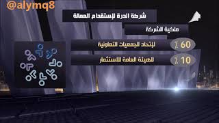 ملكية شركة الدرة للعمالة المنزلية