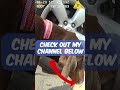 Hot Dog Rescued by Police Officers #Shorts