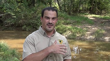 2020 Tree Farm of the Year Tour - Part 2