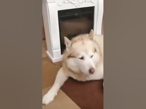 МЫ РАССТРОИЛИСЬ😂 - YouTube