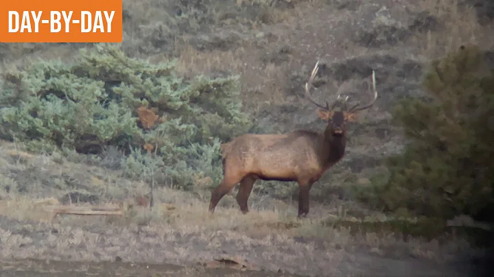 We Got it Done... Eventually | MT Archery Elk with...