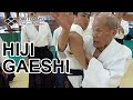 [DAITO RYU] Hiji Gaeshi - CHIBA Tsugutaka, Shikoku Hombu