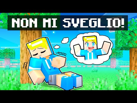 Sbriser NON SI SVEGLIA Su Minecraft!