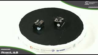 Nanosumo Nabuz And Nrek At Xchallange Robo~Motion 2022 Rzeszów Resimi