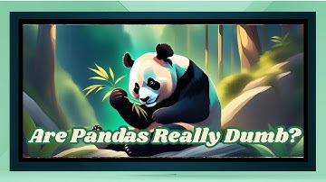 🎥 Are Pandas Really Dumb? Let’s Find Out! 🐼