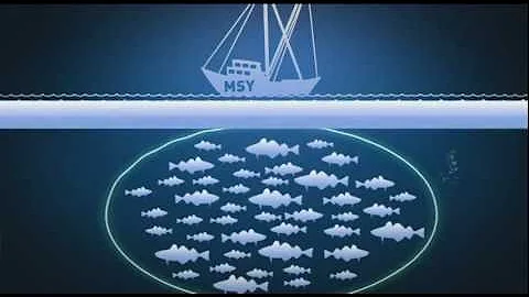 Reform of the Common Fisheries Policy